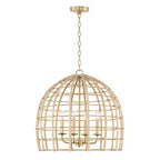 Capital Lighting 344141MA Matte Brass 23'' W X 22'' H 4-light Large Pendant In Matte Brass Made With Handcrafted Rattan Image 1