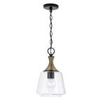 Capital Lighting 345611KB Matte Black,Brass 7'' W X 14'' H 1-light Pendant In Matte Black With Diamond Embossed Glass And Black Braided Cord Image 1