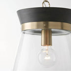 Capital Lighting Finn 12''w X 14''h 1-light Pendant In Black Stain Wood And Matte Brass With Clear Glass