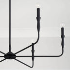 Capital Lighting Paloma 41''w X 30.5''h 6-light Chandelier In Textured Black