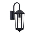 Capital Lighting Ellsworth 8''w X 23''h 1-light Clear Glass Outdoor Wall Lantern In Black