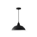 Capital Lighting Rlm 14'' W X 8'' H Rlm 1-light Outdoor Hanging Lantern In Black