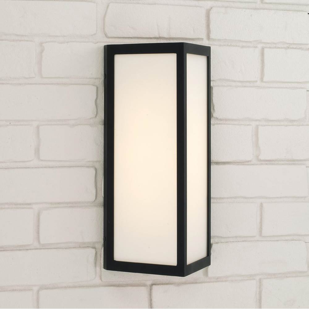 Capital Lighting Irvin 7.5'' W X 15.25'' H Integrated Led Outdoor Wall Lantern In Black With Painted White Glass