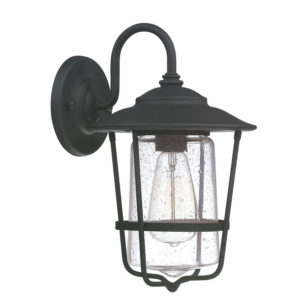 Capital Lighting Creekside 8''w X 13''h 1-light Clear Seeded Glass Outdoor Wall Lantern In Black