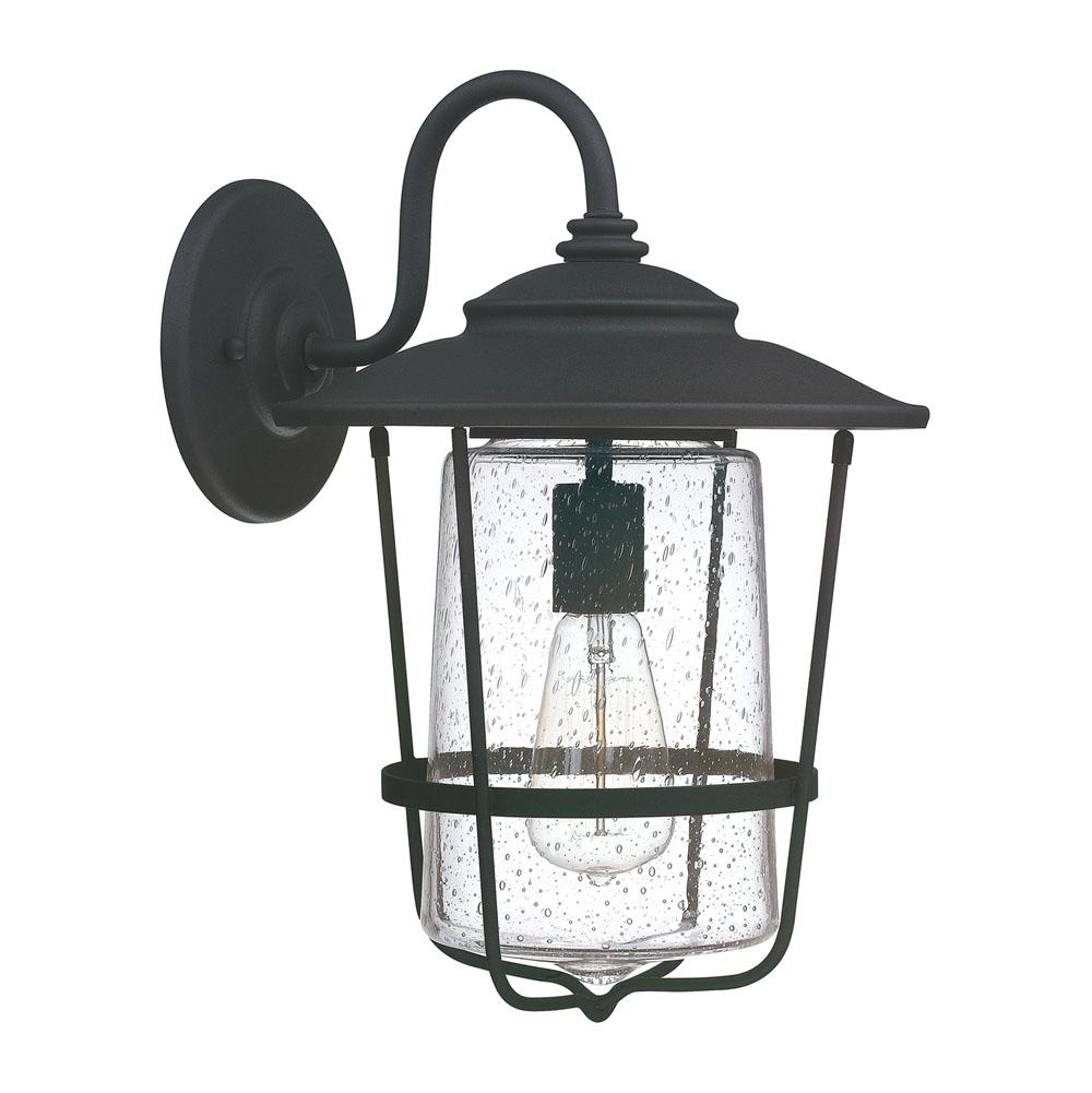 Capital Lighting Creekside 11''w X 16''h 1-light Clear Seeded Glass Outdoor Wall Lantern In Black