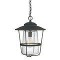 Capital Lighting Creekside 13'' W X 17.5'' H 1-light Clear Seeded Glass Outdoor Hanging Lantern In Black
