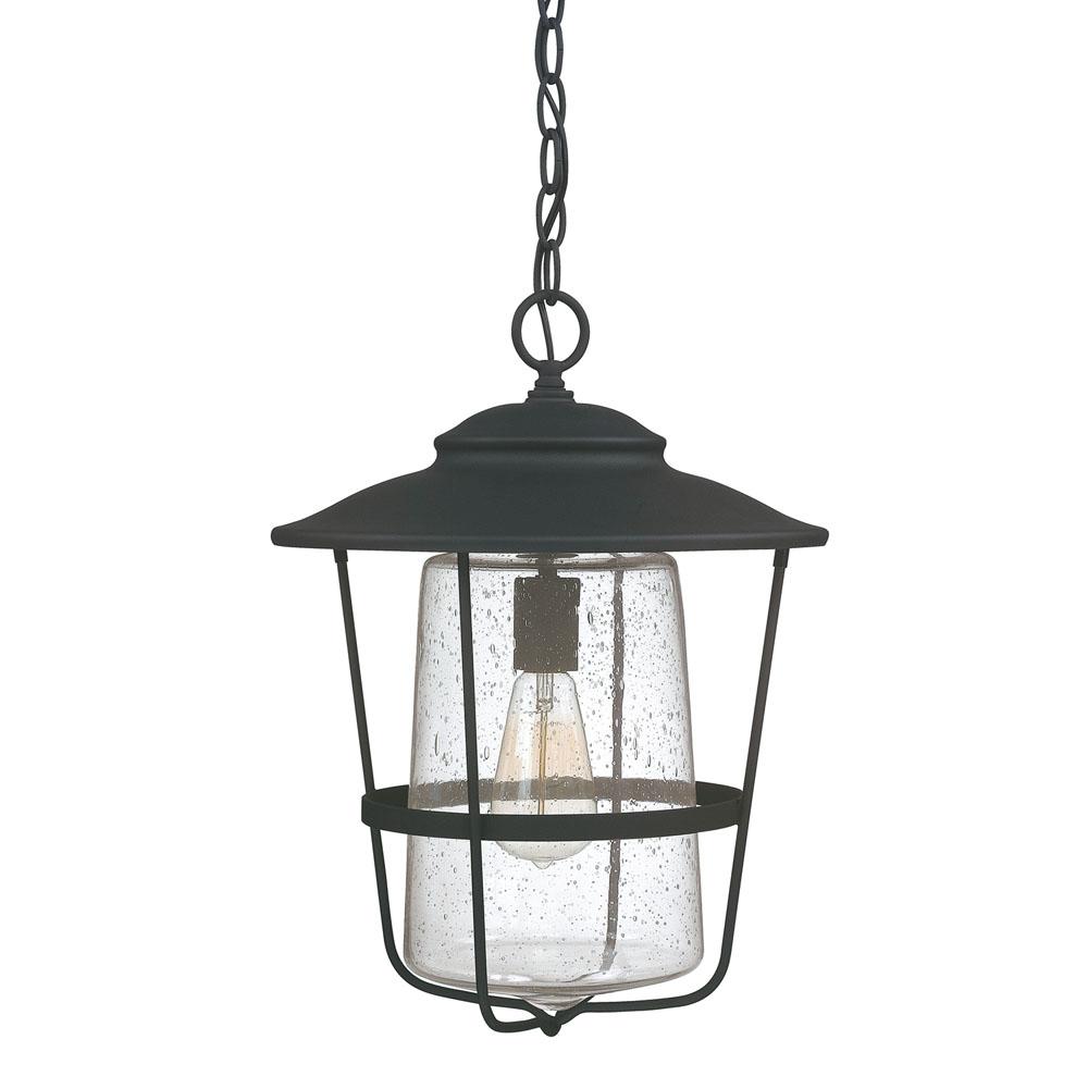 Capital Lighting Creekside 13'' W X 17.5'' H 1-light Clear Seeded Glass Outdoor Hanging Lantern In Black