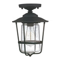 Capital Lighting Creekside 8'' W X 12'' H 1-light Clear Seeded Glass Outdoor Flush Mount