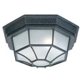 Capital Lighting Outdoor 11'' W X 5'' H Outdoor 2-light Frosted Glass Outdoor Flush Mount In Black