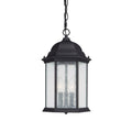 Capital Lighting Main Street 9.5'' W X 15.5'' H 3-light Antiqued Glass Outdoor Hanging Lantern In Black