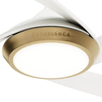 Casablanca Fan Company 52847 Fresh White Casablanca 52 Inch Vespucci Fresh White Damp Rated Ceiling Fan With Led Light Kit And Handheld Remote Image 6