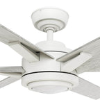 Casablanca Fan Company 53568 Fresh White 65 Inch Melia Energy Star Fresh White Damp Rated Ceiling Fan With Led Light Kit And Wall Control Image 5