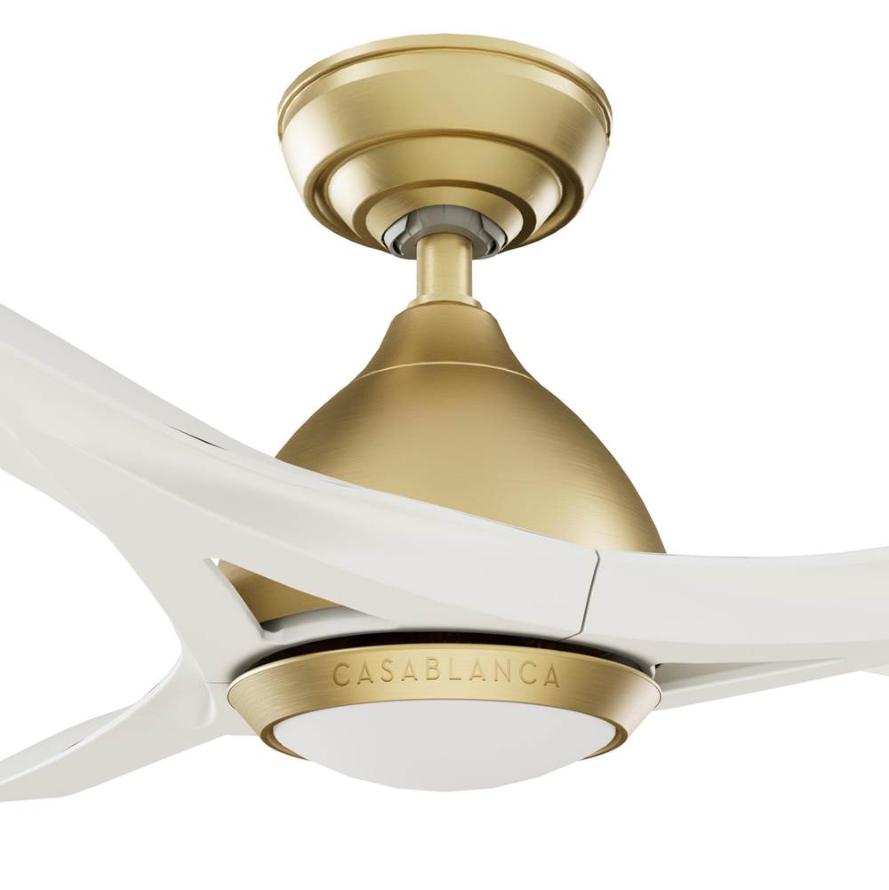 Casablanca Fan Company 53467 Brass 54 Inch Elise Energy Star Brass Damp Rated Ceiling Fan With Led Light Kit And Wall Control Image 5