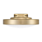 Craftmade Frazier Led Light Kit In Flat Black (for Frz56xxx3 Ceiling Fan)