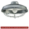 Craftmade Outdoor Light Kit 1 Light Wire Cage Light Kit In Brown