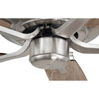 Craftmade P52BNK5-52DWGWN Brushed Polished Nickel Pro Plus 52'' 5-blade Ceiling Fan In Brushed Polished Nickel W/ Driftwood/grey Walnut Blades; Light Kit Optional (not Included) Image 3