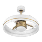 Craftmade TYL24WSB3-NWF White,Satin Brass Taylor 20'' 3-blade Ceiling Fan In White/satin Brass With Clear Acrylic Blades, Light Kit Included (optional) Image 2