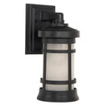 Craftmade Resilience 1 Light Small Outdoor Wall Lantern In Textured Black