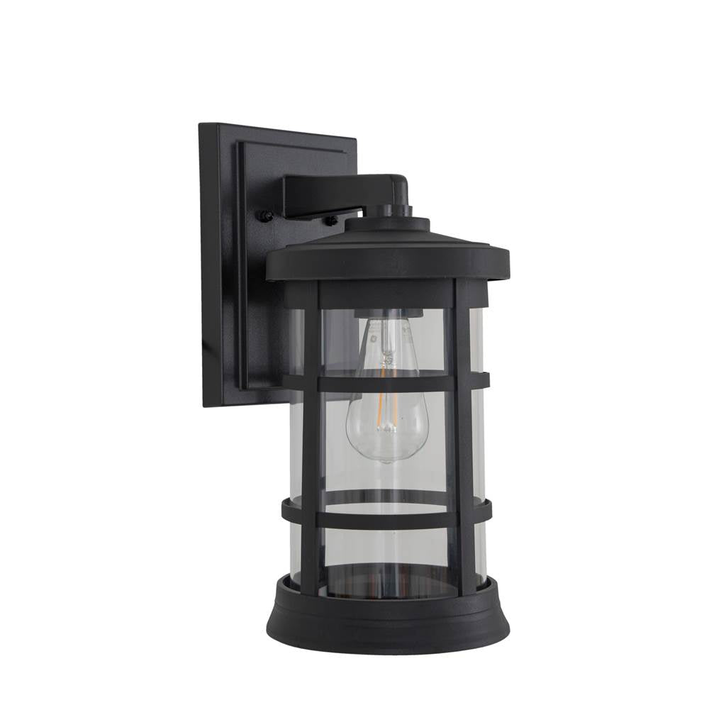 Craftmade Resilience 1 Light Medium Outdoor Wall Lantern In Bronze, Clear Lens