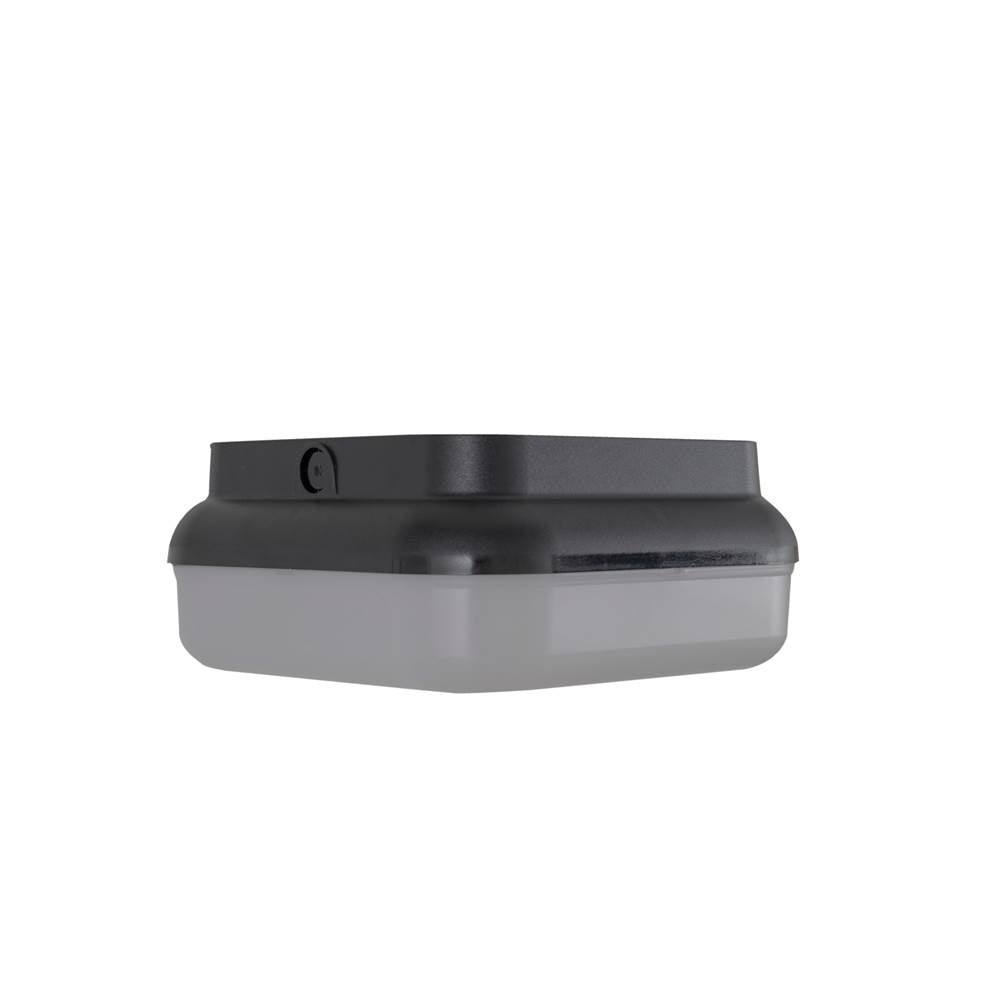 Craftmade Resilience 2 Light Outdoor Flushmount In Textured Black