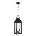 Craftmade Bent Tree Bent Tree 2 Light Outdoor Pendant In Midnight