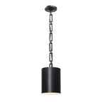Crystorama 8680-MK-WH Matte Black,White Brian Patrick Flynn For Crystorama Alston 1 Light Matte Black  Plus  White Mini Chandelier Image 1