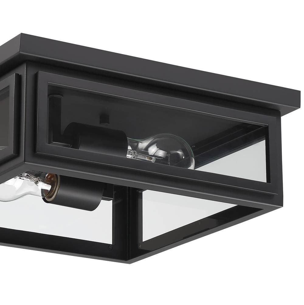 Crystorama Byron 2 Light Matte Black Outdoor Ceiling Mount
