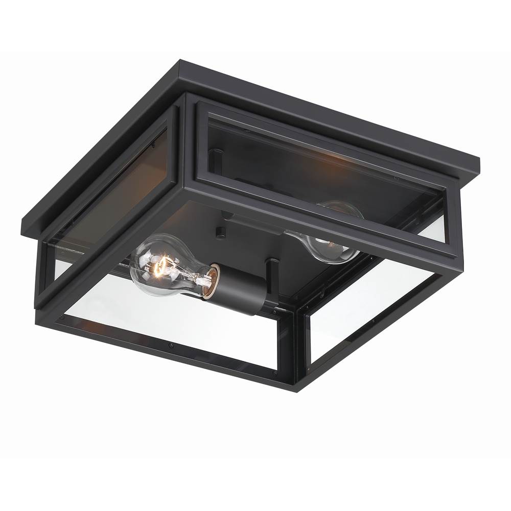 Crystorama BYR-80100-MK Matte Black Byron 2 Light Matte Black Outdoor Ceiling Mount Image 5