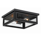 Crystorama BYR-80100-MK Matte Black Byron 2 Light Matte Black Outdoor Ceiling Mount Image 4