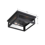 Crystorama BYR-80100-MK Matte Black Byron 2 Light Matte Black Outdoor Ceiling Mount Image 2