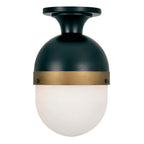 Crystorama CAP-8500-MK-TG Matte Black,Textured Gold Brian Patrick Flynn For Crystorama Capsule 1 Light Matte Black  Plus  Textured Gold Outdoor Ceiling Mount Image 1
