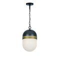 Crystorama CAP-8507-MK-TG Matte Black,Textured Gold Brian Patrick Flynn For Crystorama Capsule 1 Light Matte Black  Plus  Textured Gold Outdoor Pendant Image 1