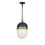 Crystorama CAP-8507-MK-TG Matte Black,Textured Gold Brian Patrick Flynn For Crystorama Capsule 1 Light Matte Black  Plus  Textured Gold Outdoor Pendant Image 1