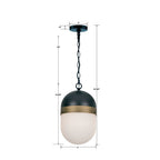 Crystorama Capsule Brian Patrick Flynn For Crystorama Capsule 1 Light Matte Black  Plus  Textured Gold Outdoor Pendant
