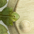 Crystorama 565-CT Champagne Green Tea Broche 9'' Champagne Green Tea Chandelier Image 2