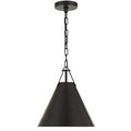 Crystorama XAV-B8301-MK Matte Black Xavier 1 Light Matte Black Pendant Image 1