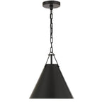 Crystorama XAV-B8301-MK Matte Black Xavier 1 Light Matte Black Pendant Image 1