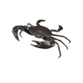 Currey And Company 1200-0957 Dark Brown Crab Bronze Image 1