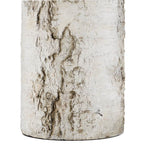 Currey And Company  Faux Birch Table Lamp