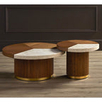 Currey And Company 3000-0262 Morel Brown,Natural,Polished Brass Dakota Small Cocktail Table Image 3