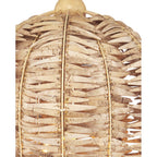 Currey And Company  Tiptur Pendant