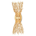 Currey And Company 5000-0200 Gold Gilt Sea Fan Wall Sconce Image 1