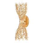 Currey And Company  Sea Fan Wall Sconce
