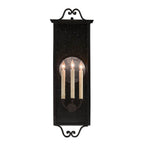 Currey And Company  Giatti Large Outdoor Wall Sconce