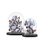 Currey And Company 1200-0977  Rue De Bac Lilac Large Butterflies Image 3