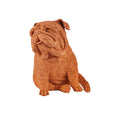 Currey And Company 1200-0960 Natural Leonard Churchill The Bulldog Image 1