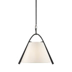 Currey And Company 9000-0951 Satin Black,Brushed Brown Frey Pendant Image 1