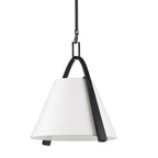 Currey And Company 9000-0951 Satin Black,Brushed Brown Frey Pendant Image 3