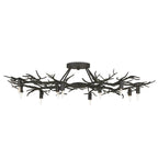Currey And Company 9000-0981 Rustic Bronze Rainforest Bronze Semi-flush Image 1