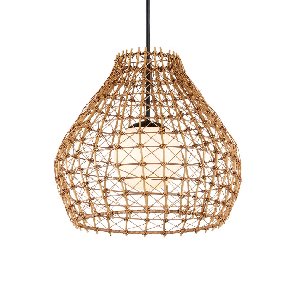 Currey And Company 9500-0014  Bly Outdoor Pendant Image 1